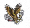 Freedom Eagle Golf Hat & Ball Marker