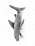 Shark Driver